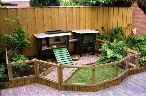 outdoor rabbit enclosure ideas